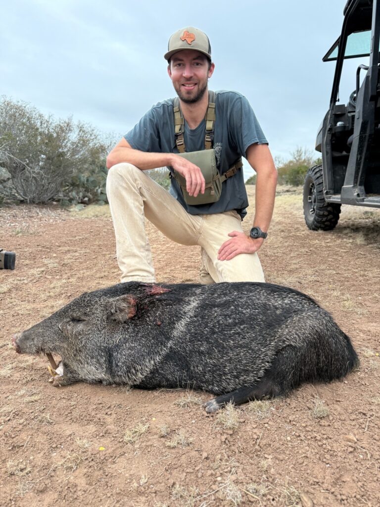 Man posing with a large wild boar on dry terrain.